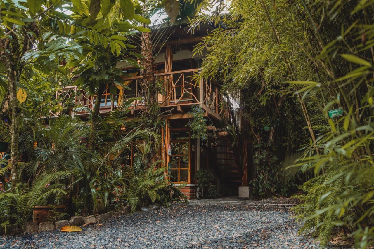 Hostal Las Palmas Puyo Bagian luar foto